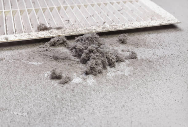 Best Best Air Duct Cleaning Company  in Colfax, WI